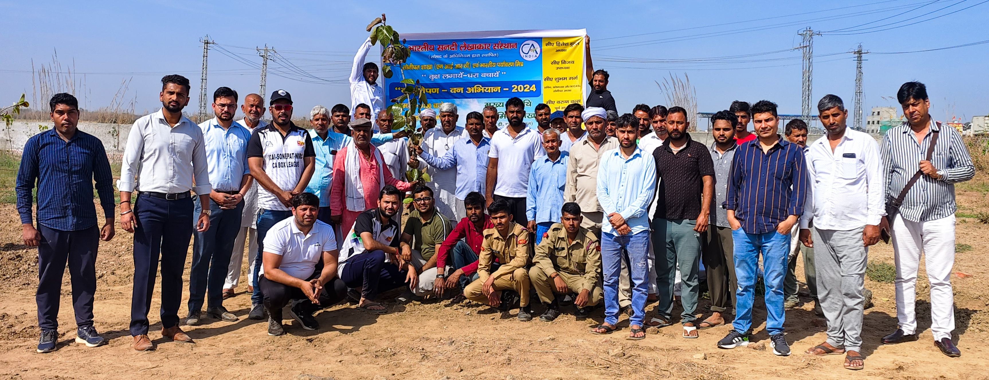 Tree Plantation Drive