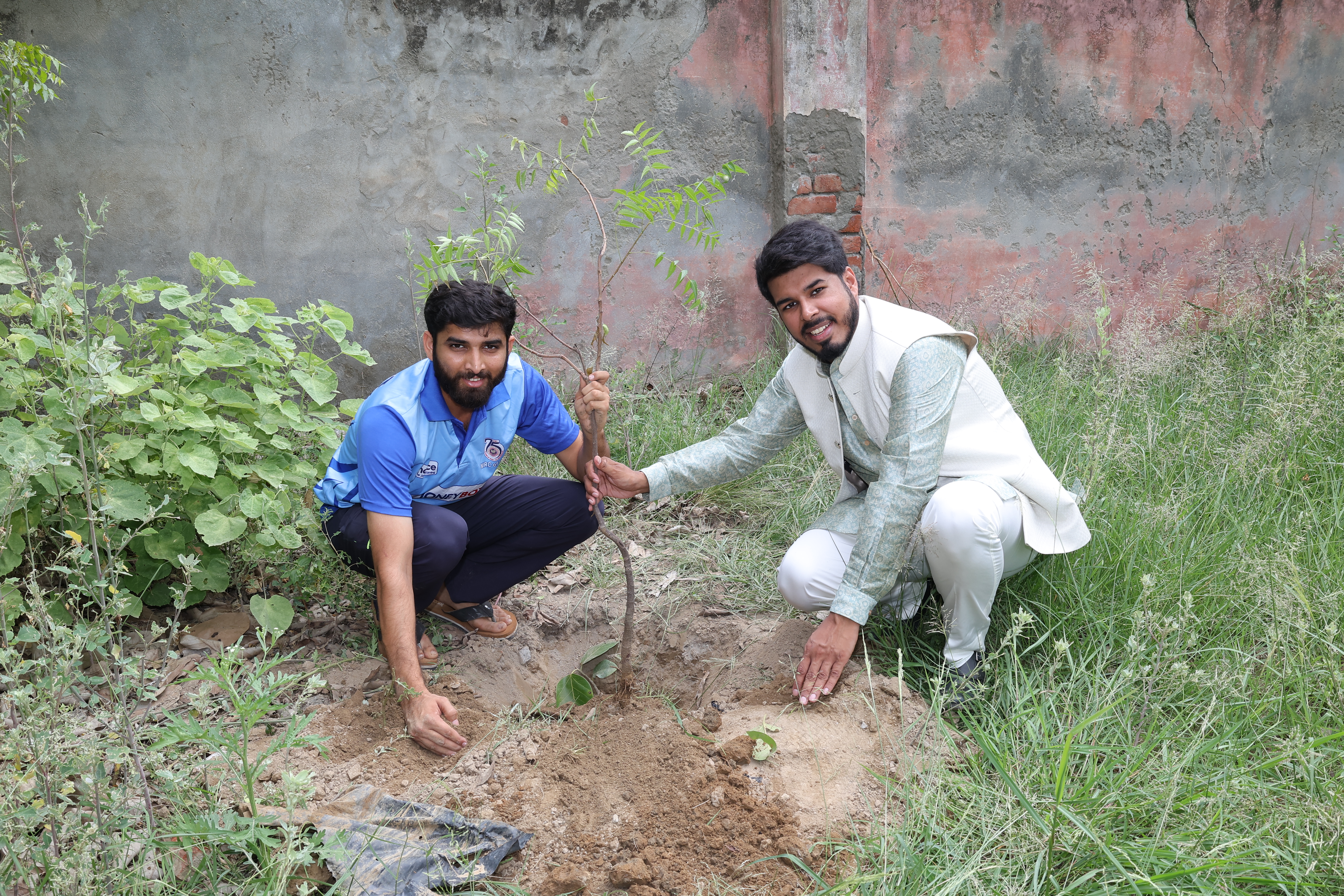 Tree Plantation Drive